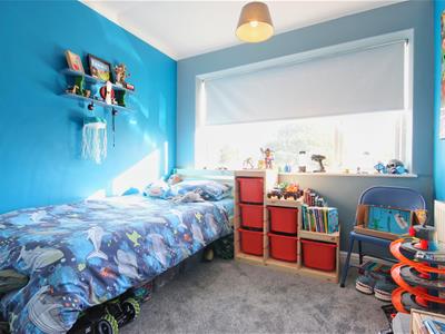 Picture 20